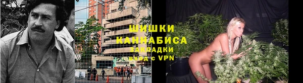твердый Михайловск