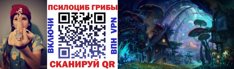 даркнет наркотические препараты  OMG tor  Тотьма  Псилоцибиновые грибы ЛСД 