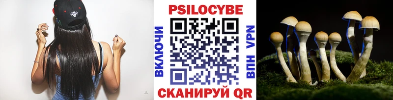 Псилоцибиновые грибы прущие грибы Тотьма